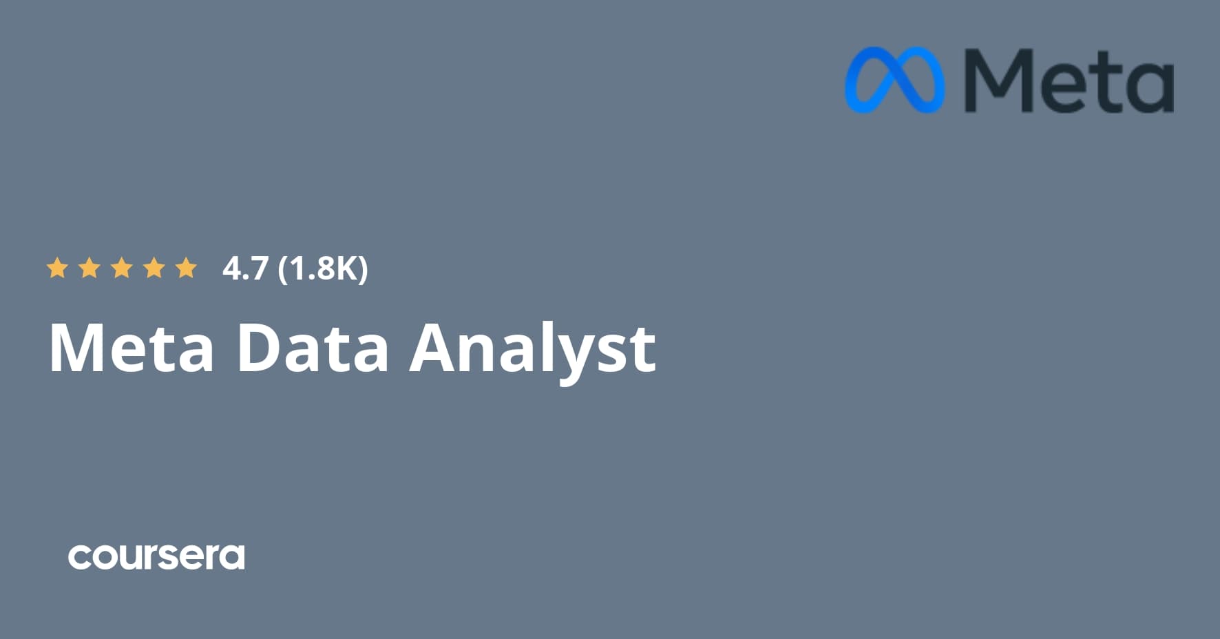 Meta Data Analyst