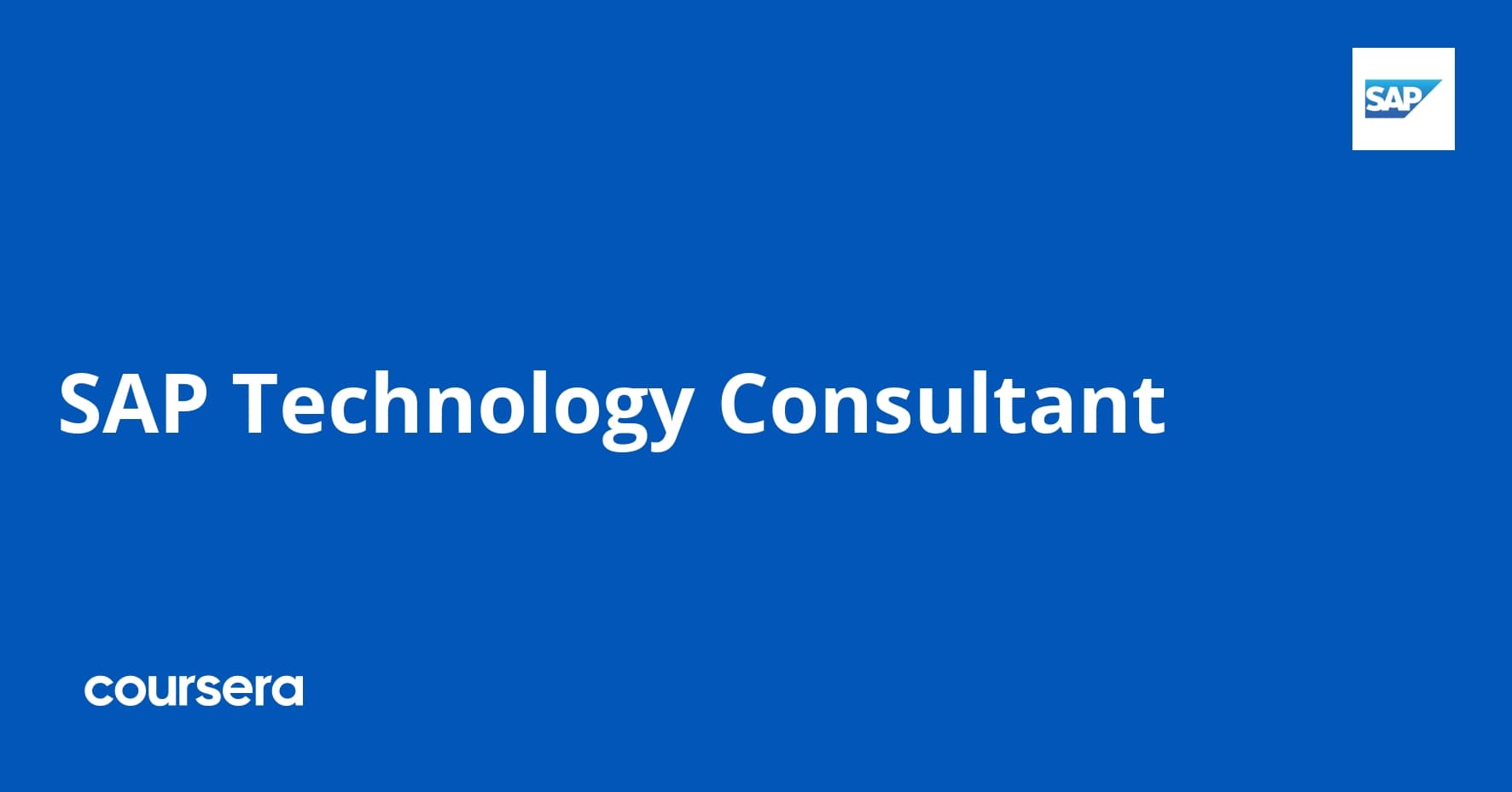SAP Technology Consultant